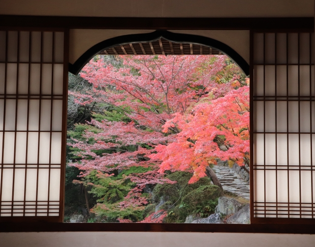 西之丸庭園の紅葉